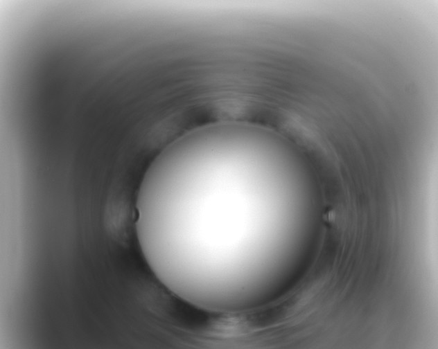 X0000089440079200706221237