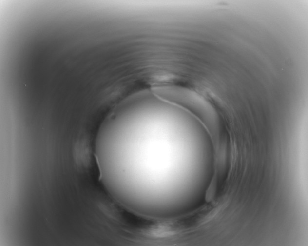 X0000089440080200706221237
