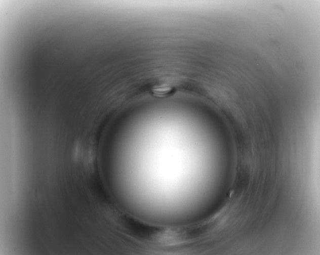 X0000089440082200706221237