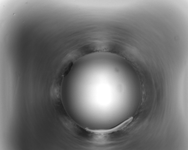 X0000089440096200706221237