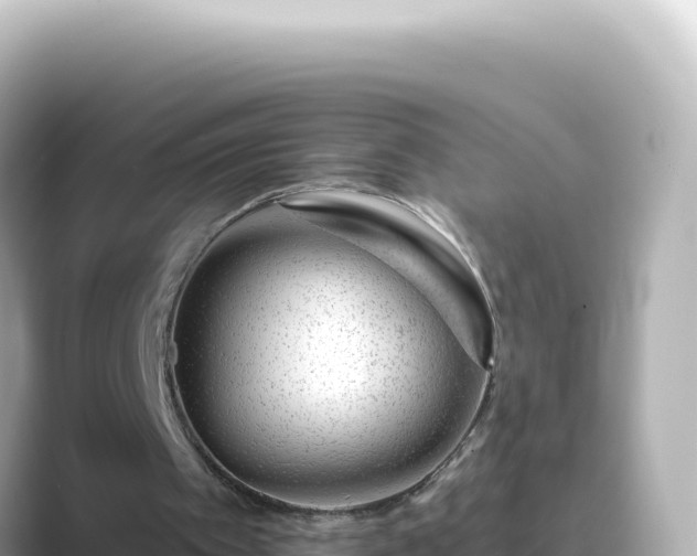 X0000089440097200706221236
