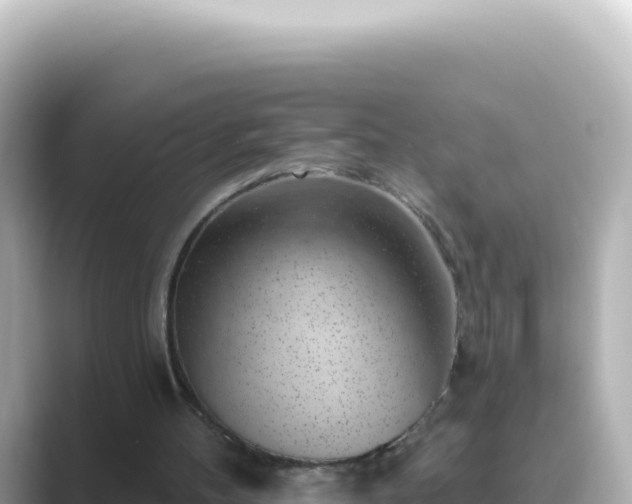 X0000089440100200706221236