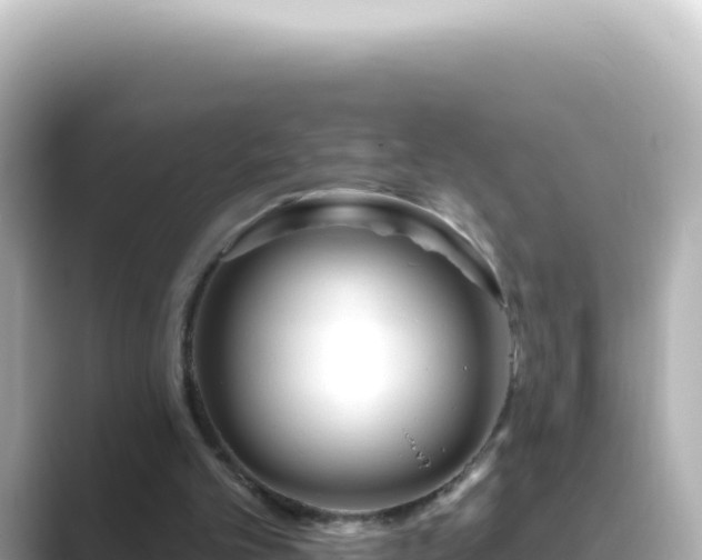 X0000089440101200706221236
