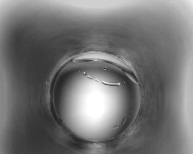 X0000089440102200706221236