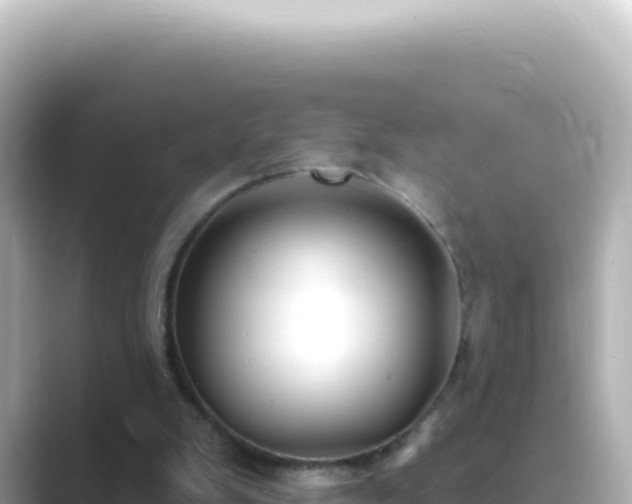 X0000089440103200706221236