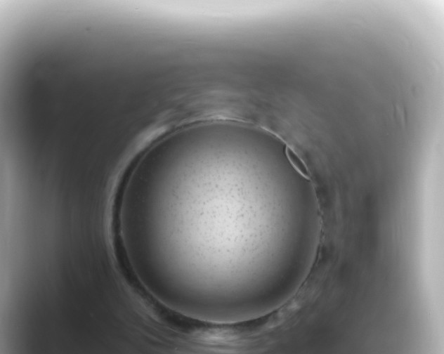 X0000089440104200706221236