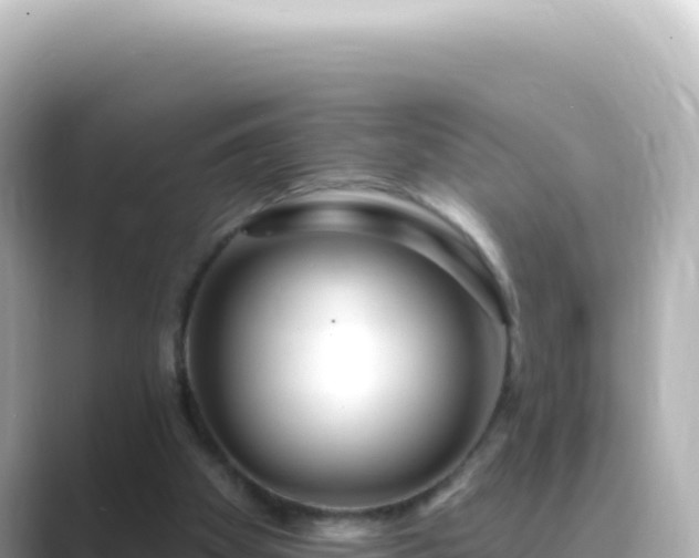 X0000089440105200706221236