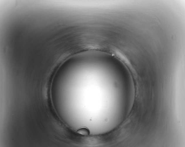 X0000089440106200706221236