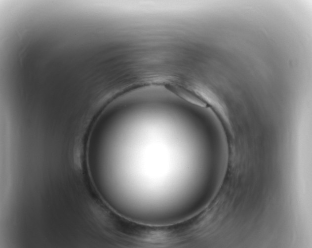 X0000089440107200706221236