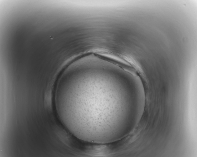 X0000089440108200706221236