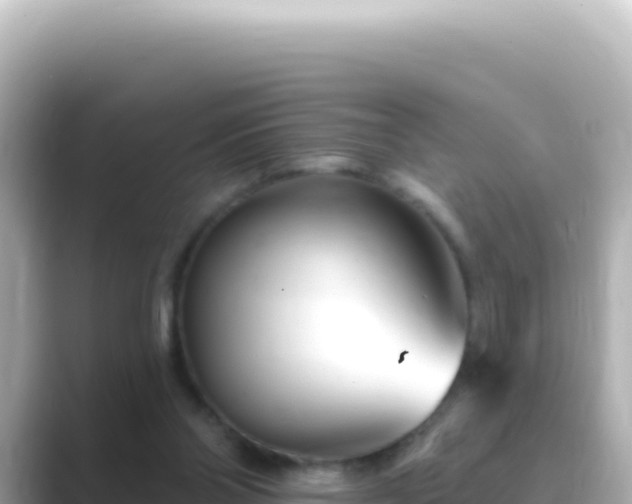 X0000089440110200706221236