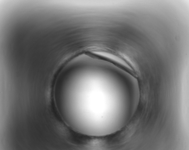 X0000089440111200706221236