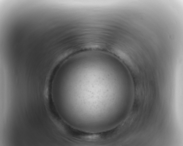 X0000089440112200706221236