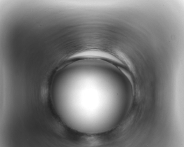 X0000089440113200706221236