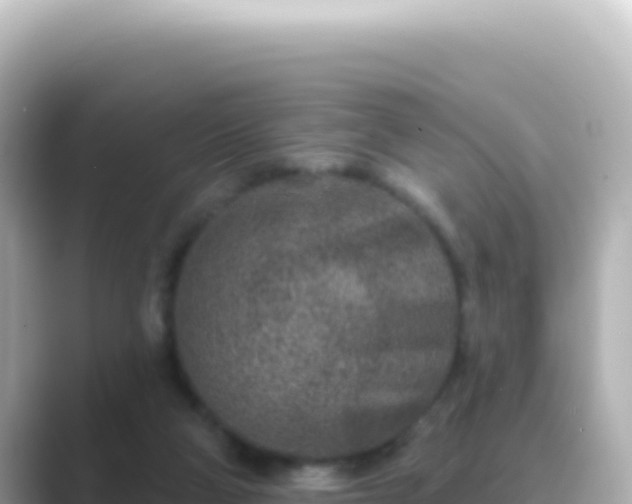 X0000089440114200706221236
