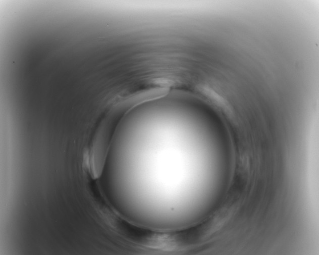 X0000089440117200706221236