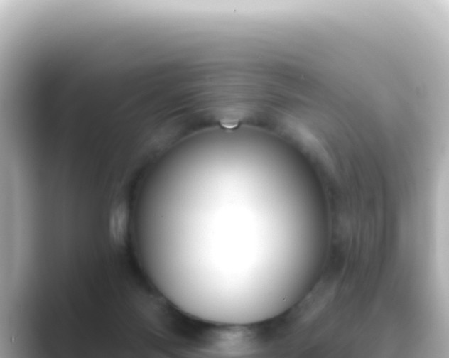 X0000089440118200706221236