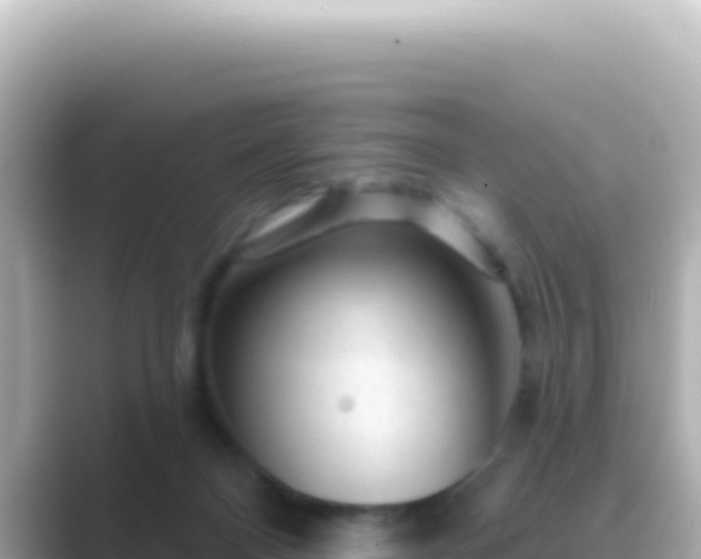 X0000089440120200706221236