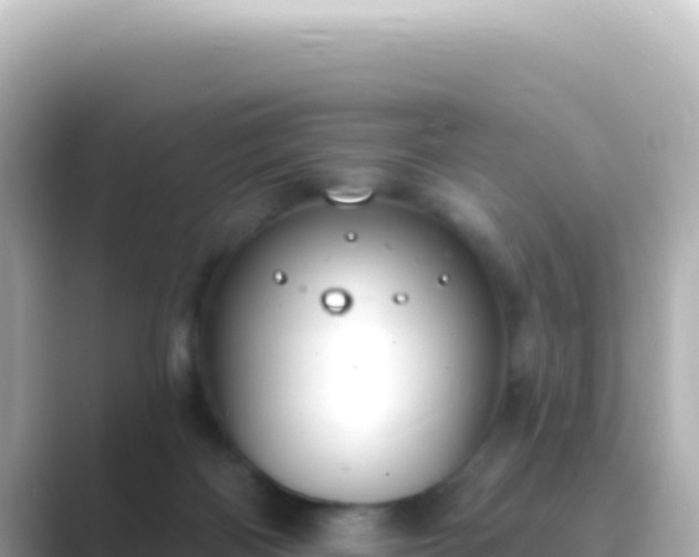 X0000089440122200706221236