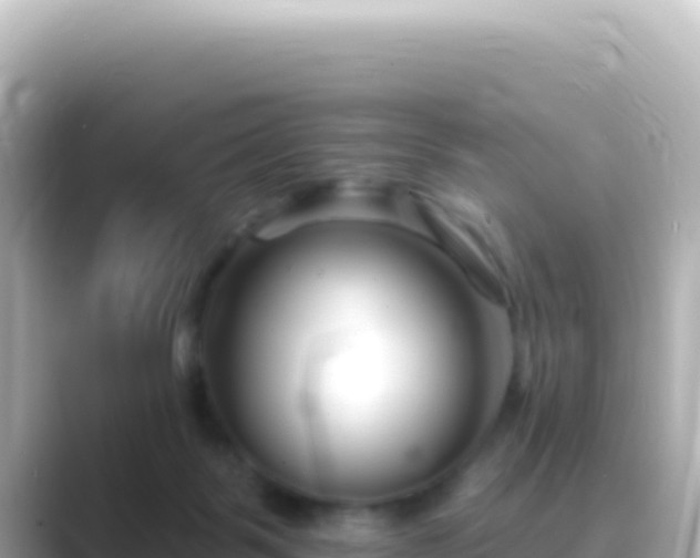 X0000089440123200706221236