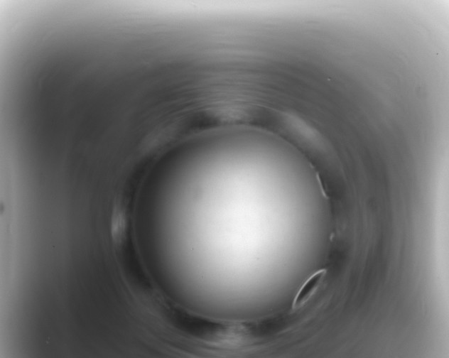 X0000089440124200706221236