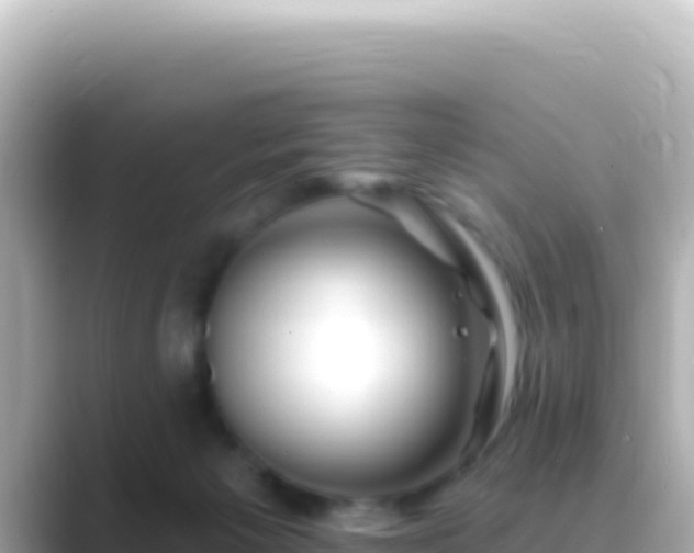 X0000089440125200706221236