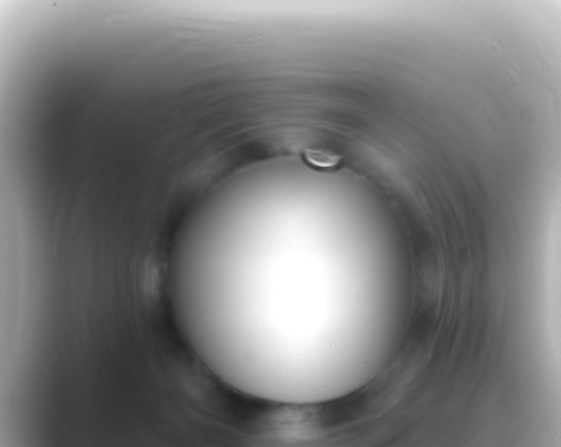 X0000089440126200706221236