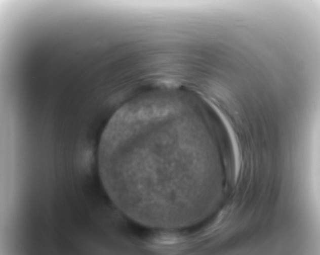 X0000089440127200706221236