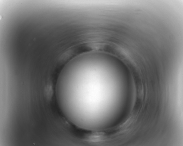 X0000089440128200706221236