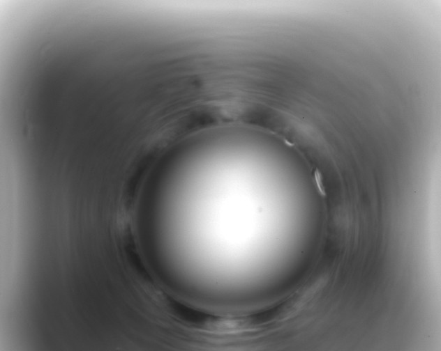 X0000089440129200706221236