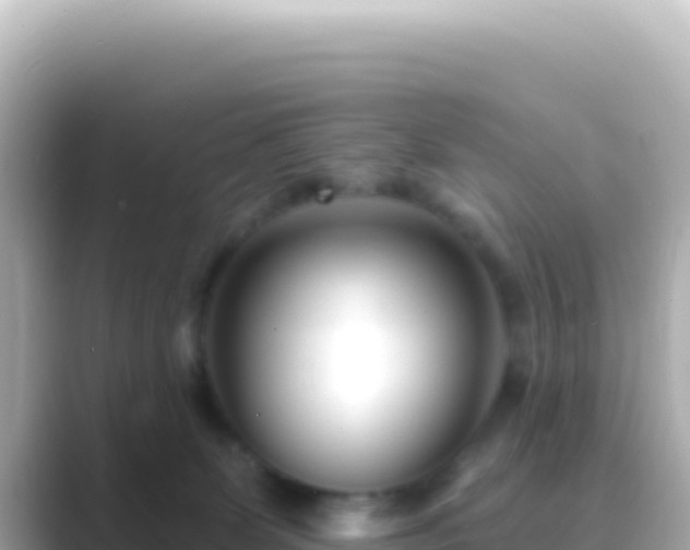 X0000089440131200706221236