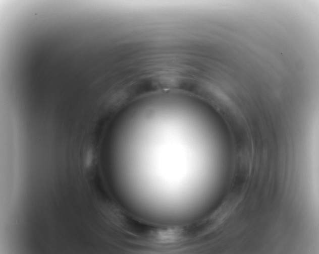X0000089440134200706221236