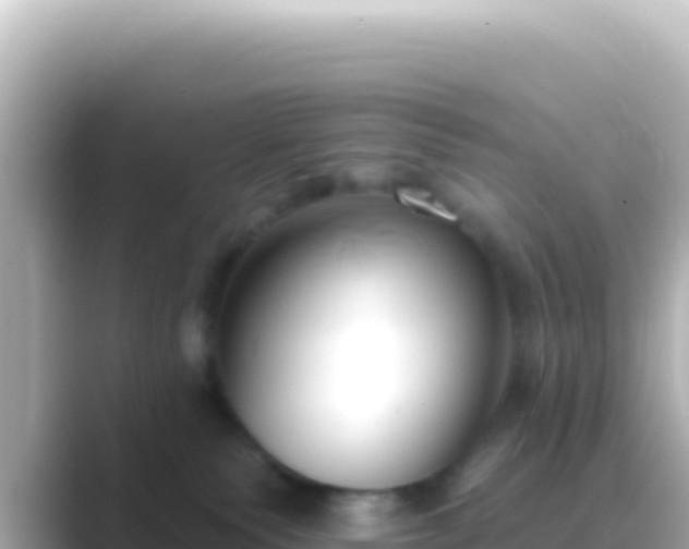 X0000089440135200706221236