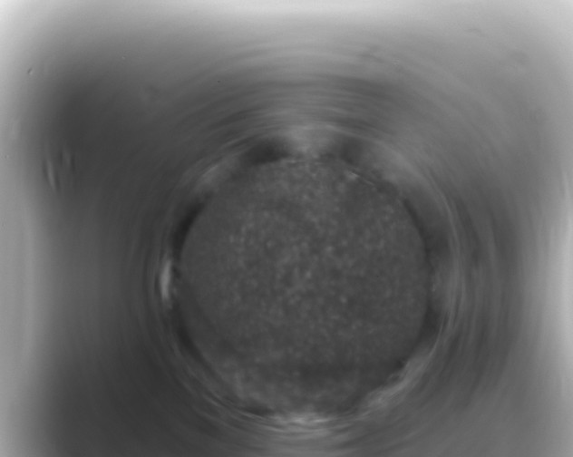 X0000089440137200706221236