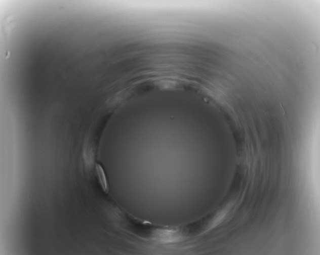 X0000089440139200706221236