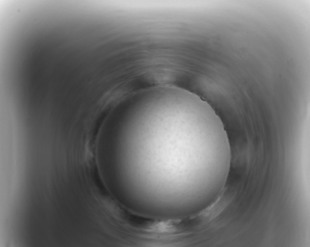 X0000089440140200706221236