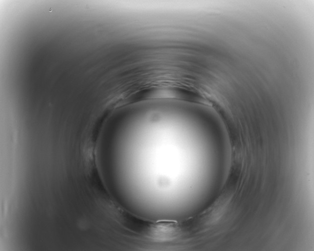 X0000089440141200706221236
