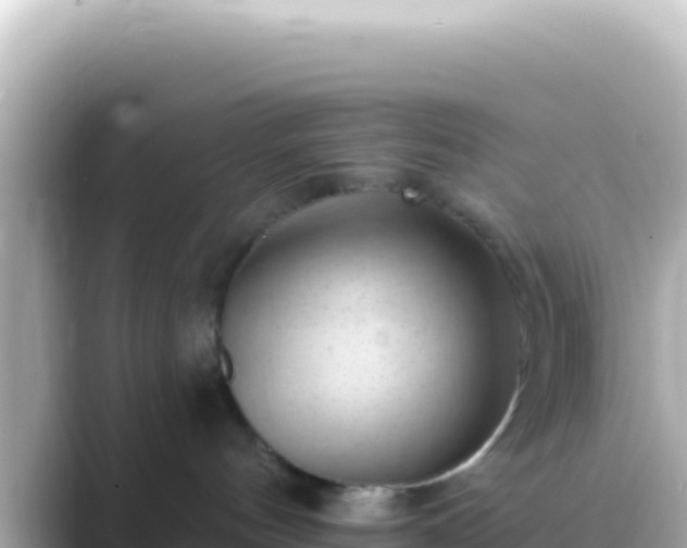 X0000089440144200706221236