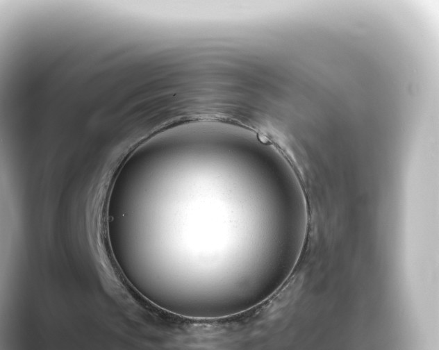 X0000089440145200706221235