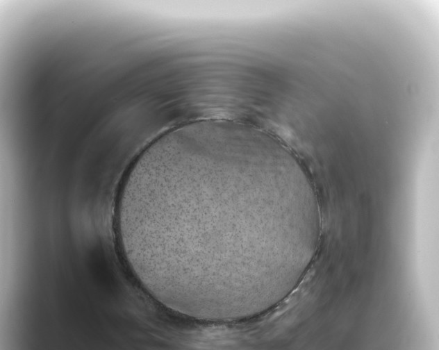 X0000089440146200706221235