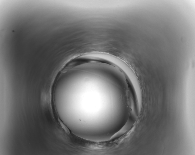 X0000089440148200706221235