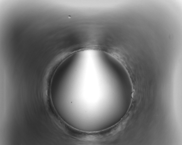 X0000089440149200706221235
