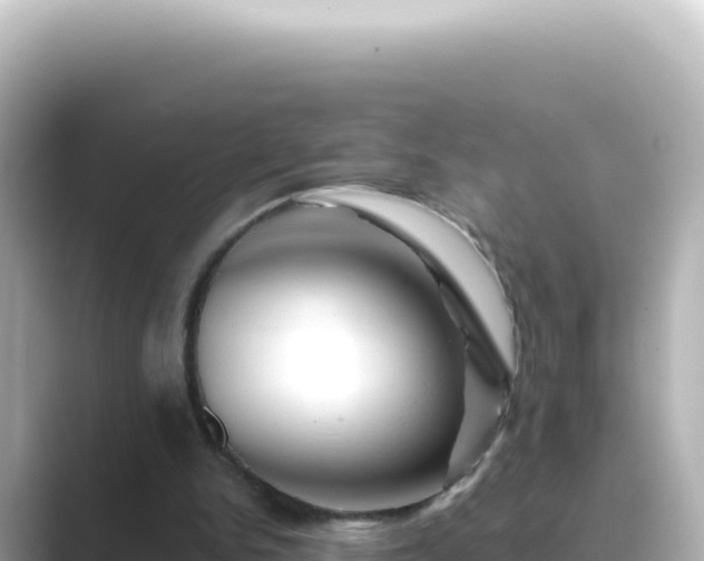 X0000089440150200706221235