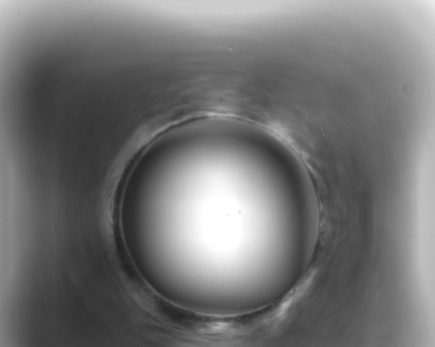 X0000089440151200706221235