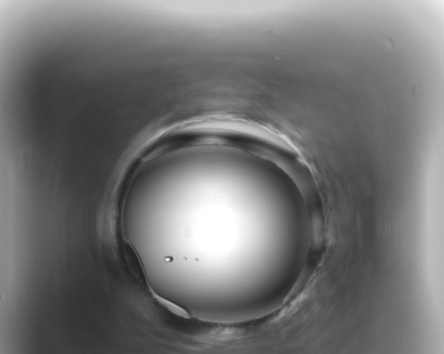 X0000089440152200706221235