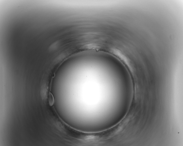 X0000089440153200706221235