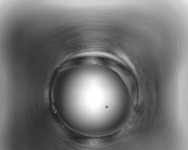 X0000089440154200706221235