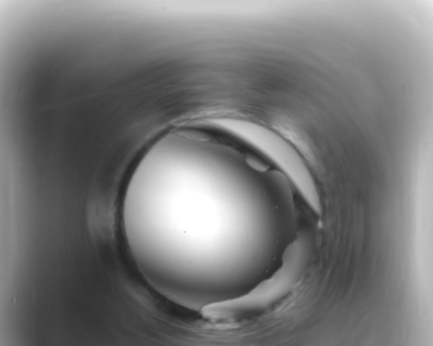 X0000089440156200706221235