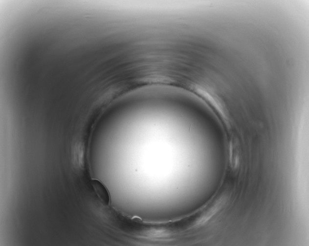 X0000089440157200706221235