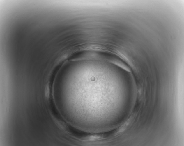 X0000089440158200706221235
